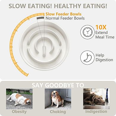 Ceramic Slow Feeder and Water Bowl Set, 6.0inch Ceramic Dog Bowls Elevated with Stand