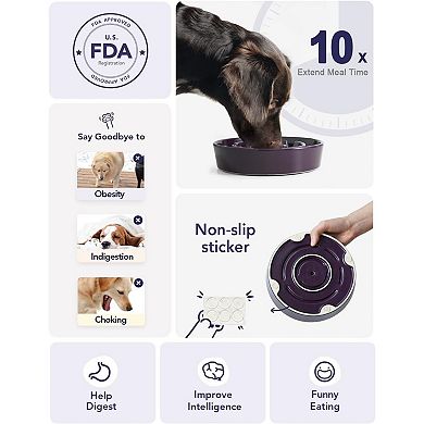 Dog Bowls Slow Feeder Ceramic, 1.5 Cup Slow Feeding Bowl for Small and Medium Breed