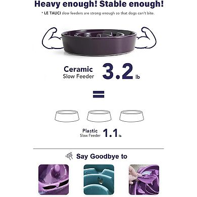 Dog Bowls Slow Feeder Ceramic, 1.5 Cup Slow Feeding Bowl for Small and Medium Breed