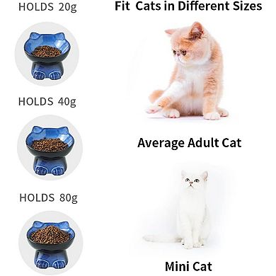 Slanted Elevated Cat Bowls: 5 Inch Ceramic Raised Cat Food Bowl for Protecting Pet's Spine