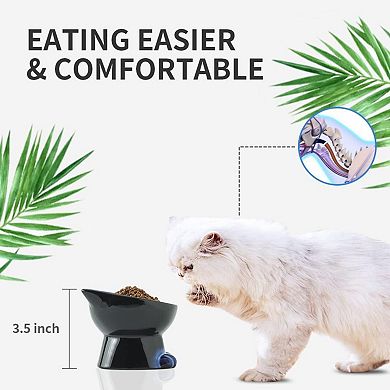 Slanted Elevated Cat Bowls: 5 Inch Ceramic Raised Cat Food Bowl for Protecting Pet's Spine