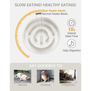 Ceramic Slow Feeder Dog Bowls, 2.0 Cups Slow Feeder for Medium and Large Dogs 30oz