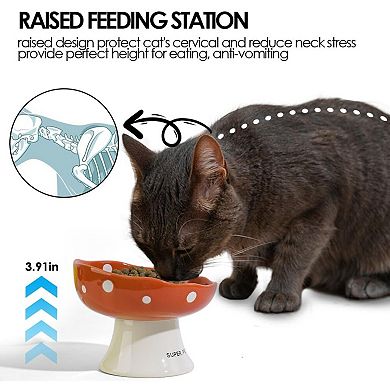 Cat Bowls, Tilted Raised Pet Dish Anti Vomit Kitten Bowl for Indoor Cats