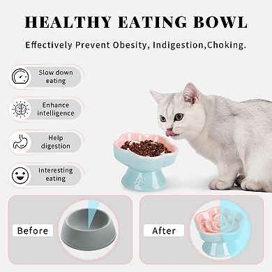 Raised Slow Feeder Bowl, Ceramic Elevated and Titled Glass Food Bowl Small Dogs Slow Feeder