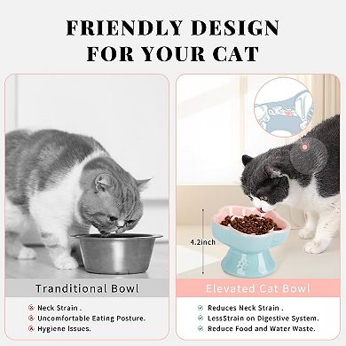 Raised Slow Feeder Bowl, Ceramic Elevated and Titled Glass Food Bowl Small Dogs Slow Feeder