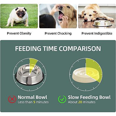 Ceramic Slow Feeder for Cats, Slow Food Bowl, Circle Shape (Bowl x 2 - Cream, 6inch)