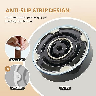 Ceramic 1.2 Cup Raised Slow Feeder Dog Bowl Set, Elevated 6.1inch Bowl and 7.3inch Dish