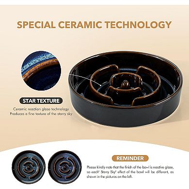 Ceramic 1.2 Cup Raised Slow Feeder Dog Bowl Set, Elevated 6.1inch Bowl and 7.3inch Dish