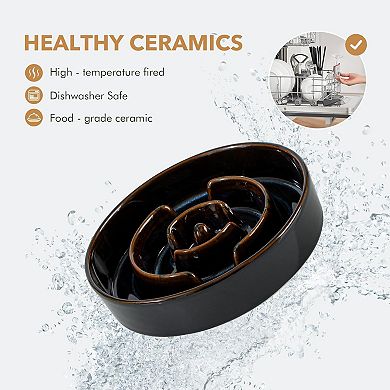 Ceramic 1.2 Cup Raised Slow Feeder Dog Bowl Set, Elevated 6.1inch Bowl and 7.3inch Dish