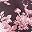 Wine Toile