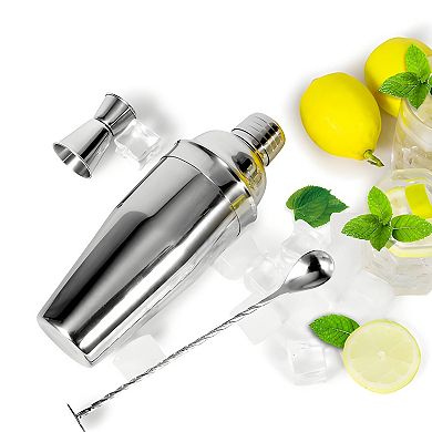 Stainless Steel Cocktail Shaker Set with Strainer Jigger and Mixing Spoon