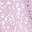 Shine Mauve