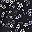 Black Ditsy