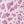 Pink Animal