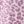 Pink Animal