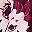 Burgundy Floral