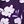 Purple Floral