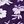 Purple Floral