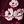Burgundy Floral