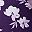 Purple Floral