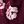 Burgundy Floral