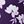 Purple Floral