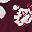 Burgundy Floral