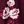 Burgundy Floral