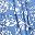 Blue Floral
