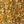 Dark Yellow