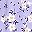 Purple White Flowers