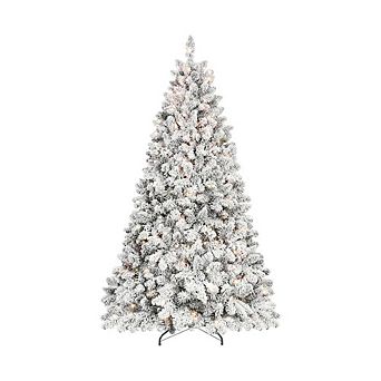 Snow Frosted Christmas Trees With Lights