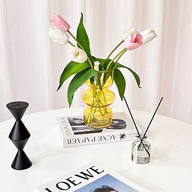 TRANSPARENT HYDROPONIC COLORED ORNAMENTAL VASE