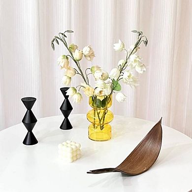 TRANSPARENT HYDROPONIC COLORED ORNAMENTAL VASE