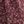 Burgundy Ditsy
