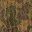 Olive Camo