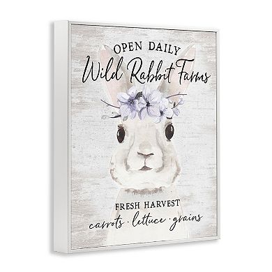Stupell Home Decor Wild Rabbit Farms Framed Wall Art