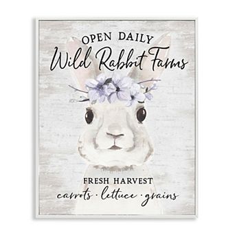 Stupell Home Decor Wild Rabbit Farms Framed Wall Art