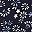 Cool Floral