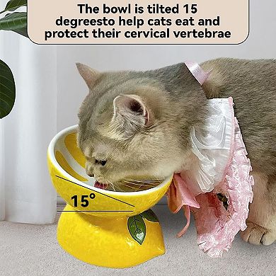 Ceramic Raised Cat Bowl 2PCS Anti Vomiting Elevated Tilted Cat Food Water Bowls Pet Feeder