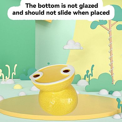 Ceramic Raised Cat Bowl 2PCS Anti Vomiting Elevated Tilted Cat Food Water Bowls Pet Feeder