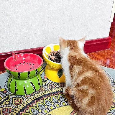 Ceramic Raised Cat Bowl 2PCS Anti Vomiting Elevated Tilted Cat Food Water Bowls Pet Feeder