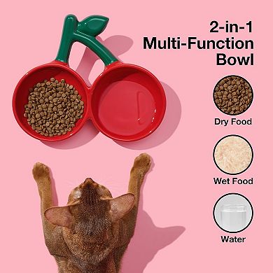 Ceramic Pet Bowl Tilted Design Pet Feeder for Food and Water Anti Vomit Cat Bowls