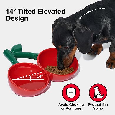 Ceramic Pet Bowl Tilted Design Pet Feeder for Food and Water Anti Vomit Cat Bowls