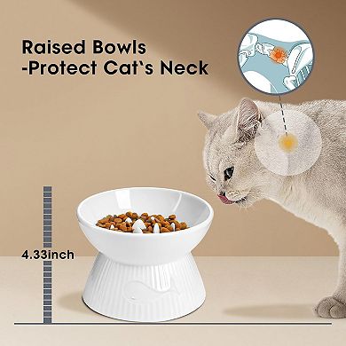 Cat Slow Feeder, Ceramic Slow Feeder Cat Bowl, Upgraded Ridges To Prevent Vomiting