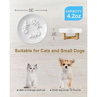 Ceramic Cat Dog Feeder, Slow Feed Bowl with Stand, 2.5'' High, 5.2'' Wide, Whisker Friendly