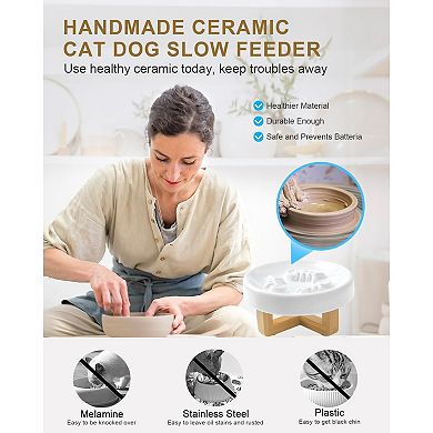 Ceramic Cat Dog Feeder, Slow Feed Bowl with Stand, 2.5'' High, 5.2'' Wide, Whisker Friendly