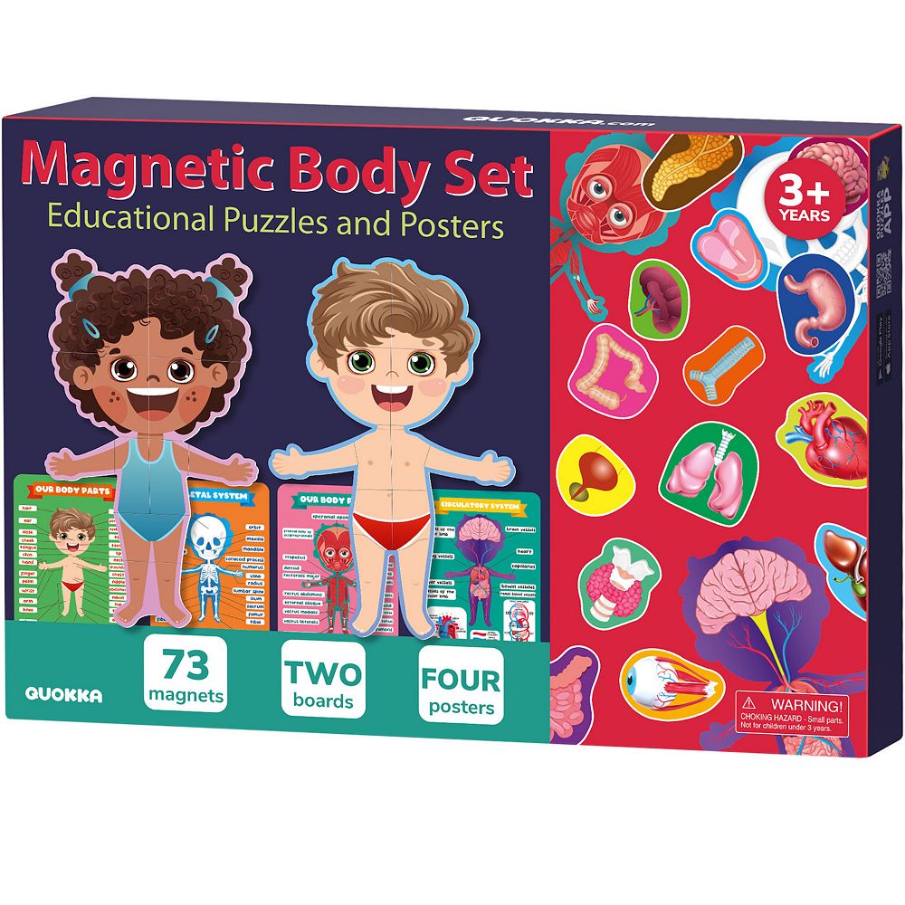 QUOKKA Magnetic Puzzles Human Body Parts Anatomy Skeleton for Kids 3-5 ...
