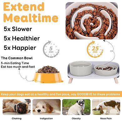 Elevated Slow Feeder Dog Bowls - Ceramic Food and Water Bowl Set with Stand