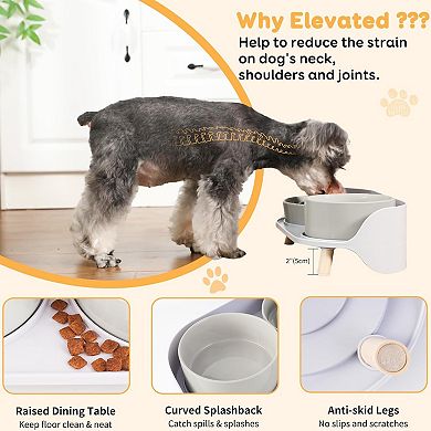 Elevated Slow Feeder Dog Bowls - Ceramic Food and Water Bowl Set with Stand